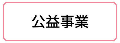 公益事業（現事業活動）